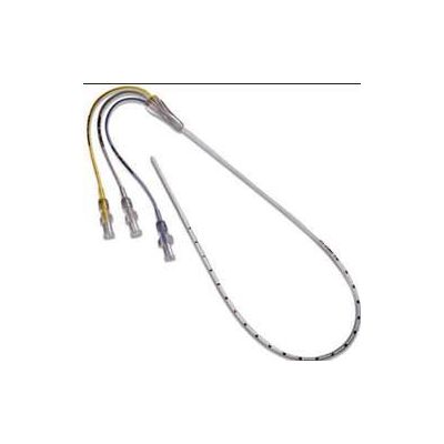 Umbilical Vessel Catheter Argyle™ 3.5 Fr. 15 Inch Single Lumen