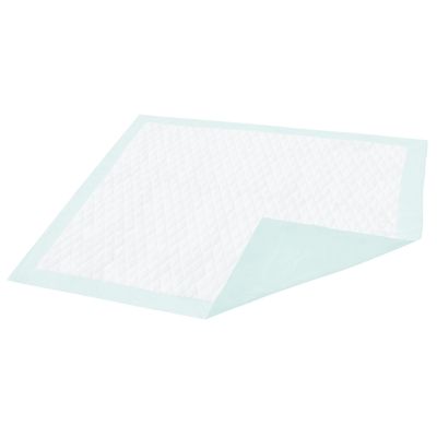 Dignity® Light Absorbency Underpad, 23 x 26 Inch