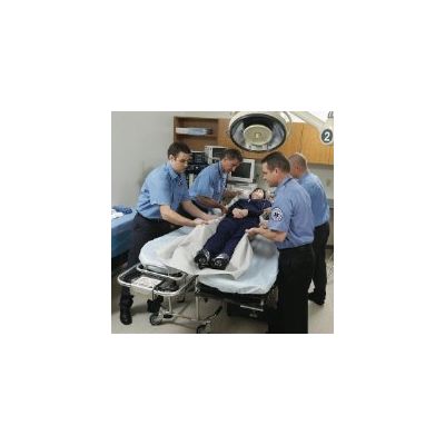 SHEET, TRANSPORT MEGAMOVER 50X84" GRY (25/CS)