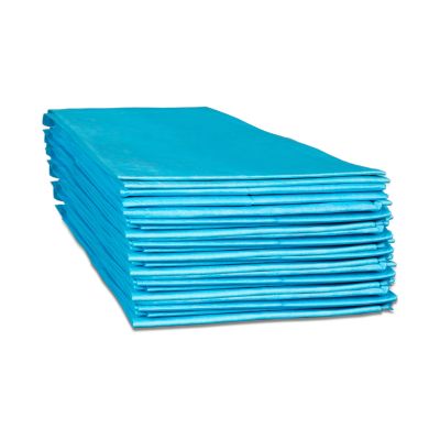 Dukal Disposable Underpad, 23 x 24 in.