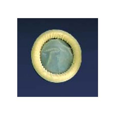 Ultra Cover™ Ultrasound Probe Cover